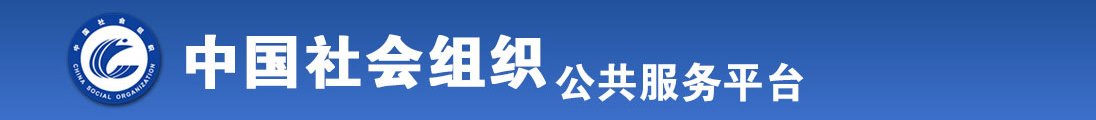 激情爆插视频专区全国社会组织信息查询